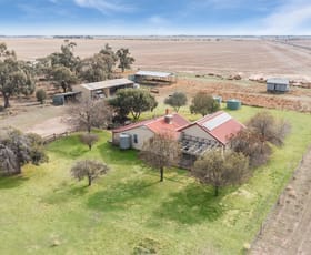 Rural / Farming commercial property for sale at 42 Walkers Road Pyramid Hill VIC 3575
