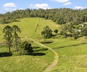 Rural / Farming commercial property for sale at 47 Tamlyn Road Kenilworth QLD 4574