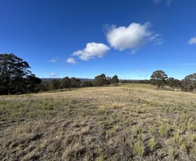 Rural / Farming commercial property for sale at Lot 53, 25 Cafes Road Ilford NSW 2850