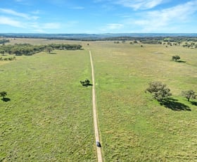 Rural / Farming commercial property for sale at 980 Ashford Road Nullamanna NSW 2360