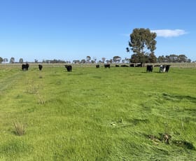 Rural / Farming commercial property for sale at 421 Mckenzie Road Kerang VIC 3579