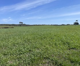 Rural / Farming commercial property for sale at 175 Pethers Lane Canunda SA 5280