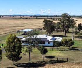 Rural / Farming commercial property for sale at 18345 Gwydir Highway Pallamallawa NSW 2399