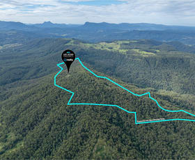 Rural / Farming commercial property for sale at 653 Boorabee Creek Road Boorabee Park NSW 2480