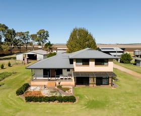 Rural / Farming commercial property for sale at 209 Dungannon Road Clifton QLD 4361