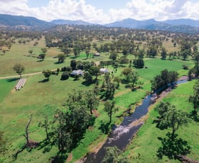 Rural / Farming commercial property for sale at 1184 Kars Springs Rd Kars Springs NSW 2337