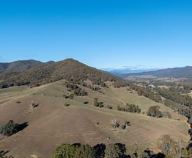 Rural / Farming commercial property for sale at Lot 2 Great Alpine Road Ovens VIC 3738