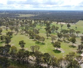 Rural / Farming commercial property for sale at 62B Poolaigelo Lane Poolaijelo VIC 3312