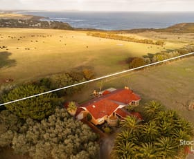 Rural / Farming commercial property for sale at 225 Gap Road Ventnor VIC 3922