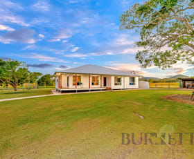 Rural / Farming commercial property for sale at 163 Degilbo Mines Road Degilbo QLD 4621
