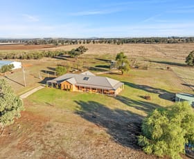 Rural / Farming commercial property for sale at 1010 Dinga Dingi Road Stockinbingal NSW 2725