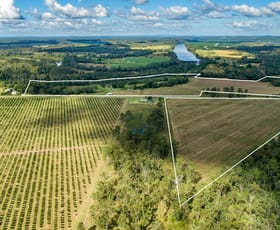Rural / Farming commercial property for sale at 61 Luckes Road Bucca QLD 4670