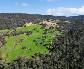 Rural / Farming commercial property for sale at Nowendoc NSW 2354