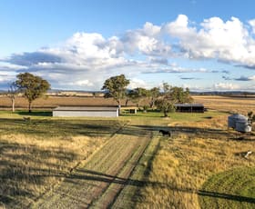 Rural / Farming commercial property for sale at 534 Wyreema Athol Road Wyreema QLD 4352