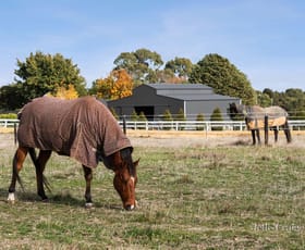 Rural / Farming commercial property for sale at Lot 4/203 Sharpes Road Miners Rest VIC 3352
