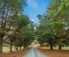 Rural / Farming commercial property for sale at 553 Boutchers Drive Yass River NSW 2582