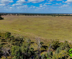 Rural / Farming commercial property for sale at 324 R Gilgandra Road Eumungerie NSW 2822