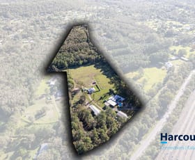 Rural / Farming commercial property for sale at 606-616 Beerburrum Road Elimbah QLD 4516