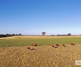 Rural / Farming commercial property for sale at 322 Stockdale - Fernbank Road Stockdale VIC 3862
