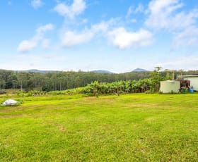 Rural / Farming commercial property for sale at 200 Coopernook Forest Way Lansdowne Forest NSW 2430