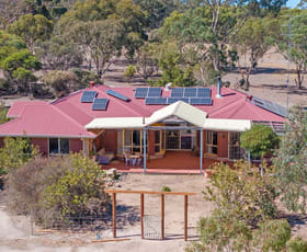 Rural / Farming commercial property for sale at 156 Hubbe Road Stanley Flat SA 5453