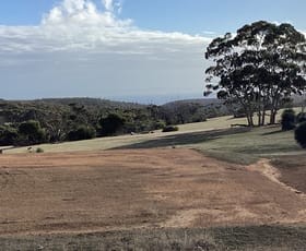 Rural / Farming commercial property for sale at Lot 601 Colmans Road Western River SA 5223