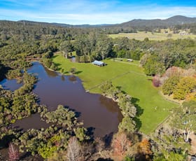Rural / Farming commercial property for sale at 1559 Mandalong Road Dooralong NSW 2259