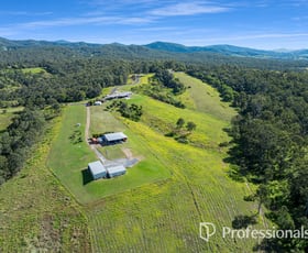 Rural / Farming commercial property for sale at 175 Tunnel Road Imbil QLD 4570
