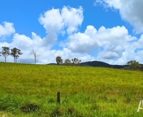 Rural / Farming commercial property for sale at 222-330 Boyle Road Belli Park QLD 4562 Rural / Farming commercial property for sale at 222-330 Boyle Road Belli Park QLD 4562