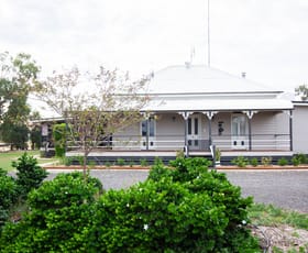 Rural / Farming commercial property for sale at 164 Carisbrooke Road Goondiwindi QLD 4390