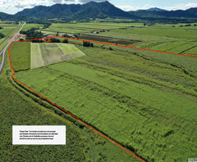Rural / Farming commercial property for sale at 8 East Feluga Road East Feluga QLD 4854