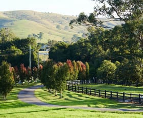 Rural / Farming commercial property for sale at 564 Chichester Dam Road, Bendolba Via Dungog NSW 2420