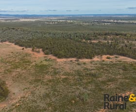 Rural / Farming commercial property for sale at 20 Sarsfield Road Tullamore NSW 2874