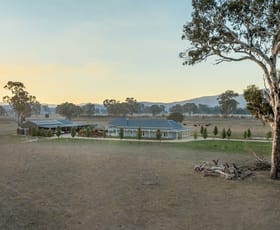 Rural / Farming commercial property for sale at Mansfield VIC 3722