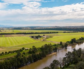Rural / Farming commercial property for sale at 477 Long Point Road Long Point NSW 2330