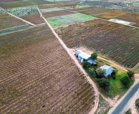 Rural / Farming commercial property for sale at 90 George Road Tresco West VIC 3584
