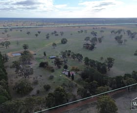 Rural / Farming commercial property for sale at 440 Mackenzies Road Edenhope VIC 3318