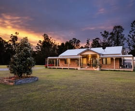 Rural / Farming commercial property for sale at 203 Qwyarigo Road Lanitza NSW 2460