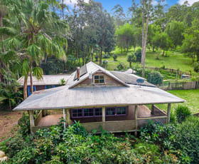 Rural / Farming commercial property for sale at 142 Rose Road Tuntable Creek NSW 2480