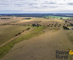 Rural / Farming commercial property for sale at 223 Ellis Road Gilgandra NSW 2827