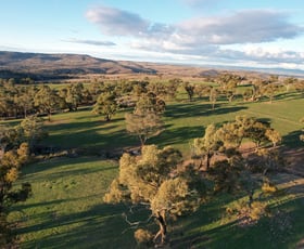 Rural / Farming commercial property for sale at 394 Range Hills Road Rock Forest NSW 2795