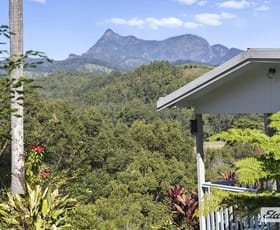 Rural / Farming commercial property for sale at 1678 Numinbah Road Numinbah NSW 2484