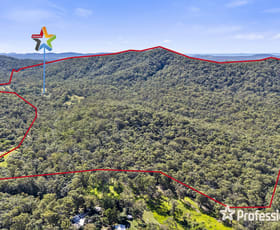 Rural / Farming commercial property for sale at 206 Clinton Road Cawarral QLD 4702