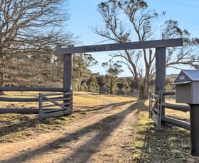Rural / Farming commercial property for sale at 1974 Tuross Road Kybeyan NSW 2631