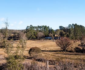 Rural / Farming commercial property for sale at 1974 Tuross Road Kybeyan NSW 2631