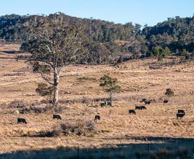 Rural / Farming commercial property for sale at 1974 Tuross Road Kybeyan NSW 2631