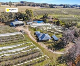 Rural / Farming commercial property for sale at 129 Cottams Road Batlow NSW 2730