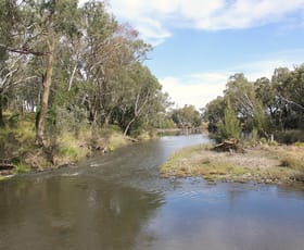 Rural / Farming commercial property for sale at 6341A Bruxner Way Mingoola NSW 2372