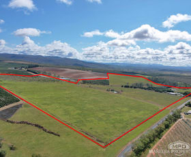 Rural / Farming commercial property for sale at 323 Bower Road Arriga QLD 4880