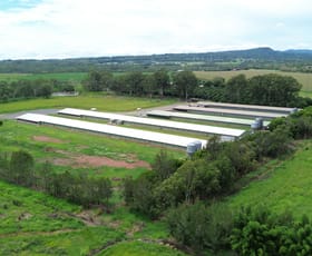 Rural / Farming commercial property for sale at Tolga QLD 4882